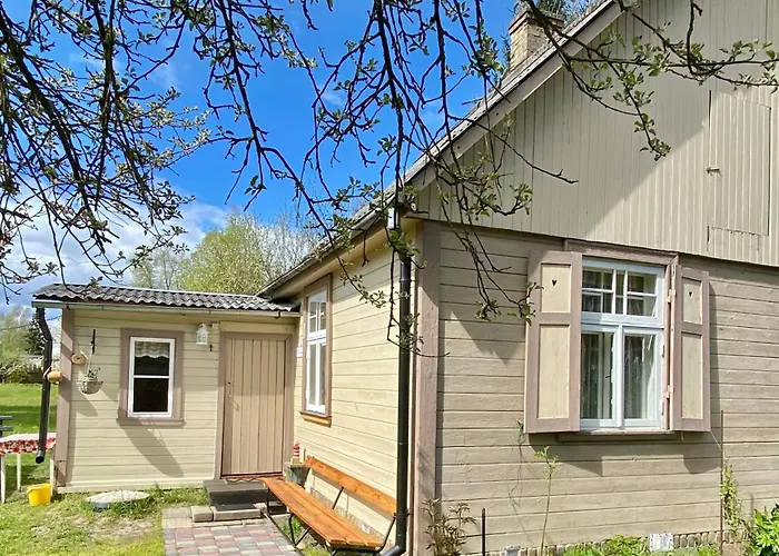 Bezvejs