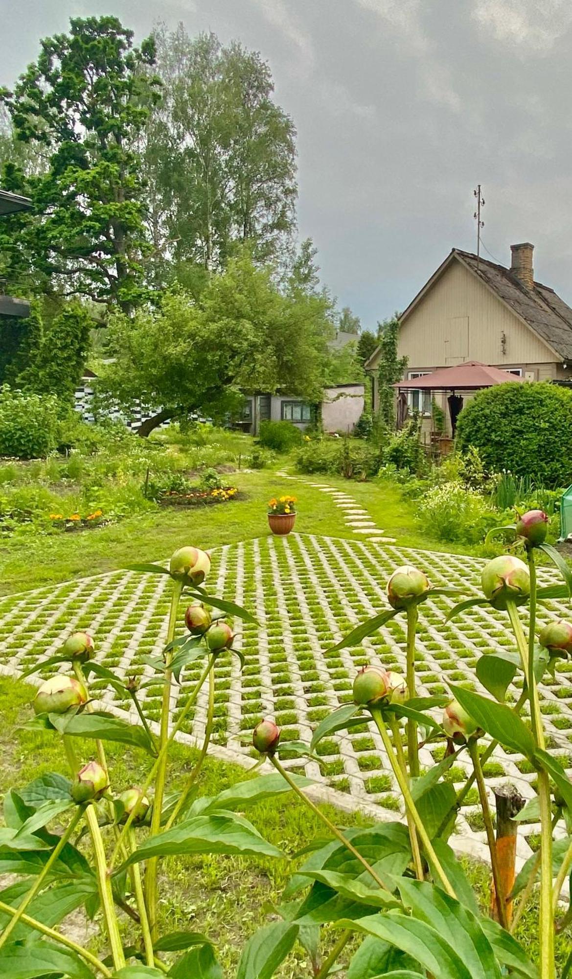 Bezvejs Casa vacanze